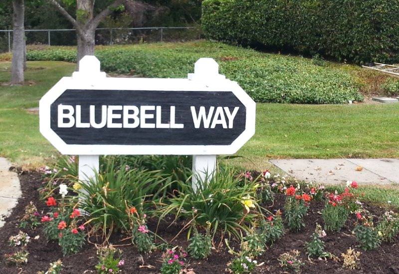 Bluebell Way San Luis Obispo Steet Sign