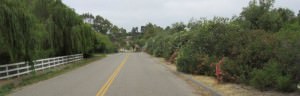 Tiffany Ranch Road Street View